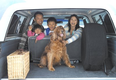 Kei Uesugi/Digital Vision/Getty Images Your dog may be calm in the car, but he'll still need help to relax on an airplane.