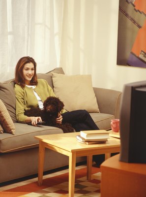 Ryan McVay/Valueline/Getty Images Max is more interested in spending time with you than catching your favorite show.