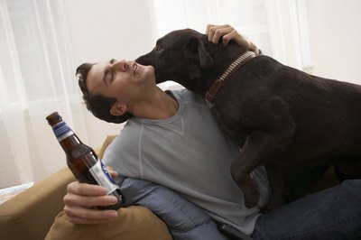 Chris Amaral/Digital Vision/Getty Images Dogs lick to show affection, but can sometimes be a little too enthusiastic.