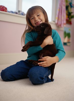 Ryan McVay/Photodisc/Getty Images It is important for puppies to have positive experiences with responsible children.