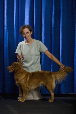 Apple Tree House/Photodisc/Getty Images Both the AKC and CKC sponsor dogs shows and other canine competitions.