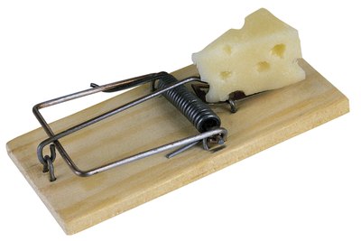 Comstock/Comstock/Getty Images Traditional mouse traps reduce the risk of accidental poisoning.
