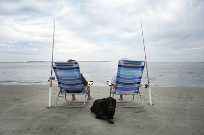 Thomas Northcut/Digital Vision/Getty Images Your dog needs Hartgard every month.