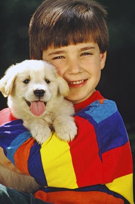 Jupiterimages/liquidlibrary/Getty Images Kids and dogs form strong relationships, but safety is key.