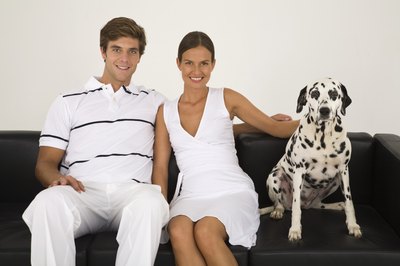 Jupiterimages/Goodshoot/Getty Images Hygiene is key to healthy dog and human interactions.