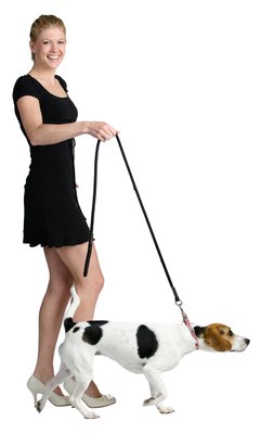 Jupiterimages/PhotoObjects.net/Getty Images Buckle and snap collars can cause puppies to choke themselves while walking.