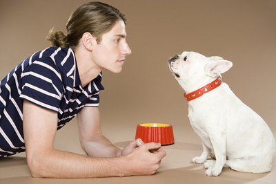 Image Source/Stockbyte/Getty Images Eliminate mealtime standoffs with tempting aromas and tastes your dog craves.