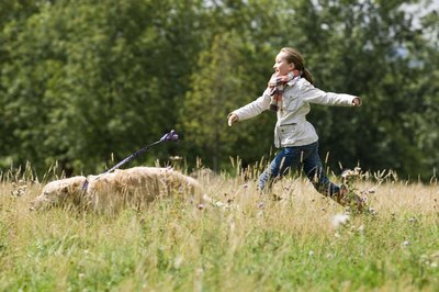 Jupiterimages/Polka Dot/Getty Images If your dog overdid his exercise, there are medications specifically designed for canines. Motrin can kill him.