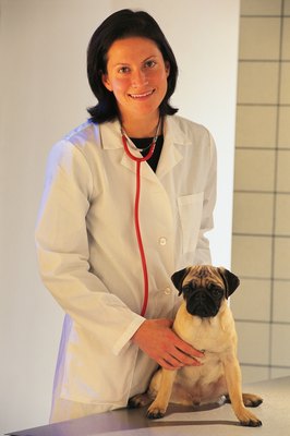 Comstock/Comstock/Getty Images Puppies are more likely than adults to suffer prolapse.