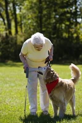 Apple Tree House/Photodisc/Getty Images It's important to make arrangements for your dog's care if something happens to you.