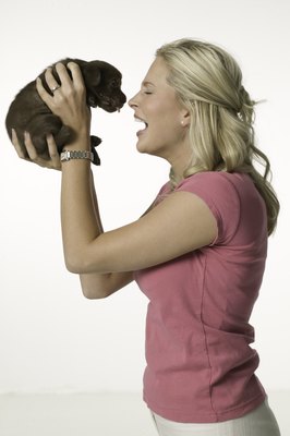 Photodisc/Photodisc/Getty Images Praise your pup when he uses his papers.
