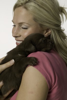 Photodisc/Photodisc/Getty Images Enjoy the experience of bringing a puppy into your home.