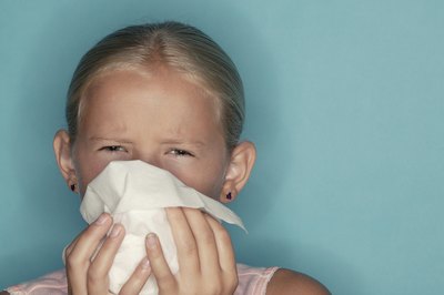 Comstock Images/Stockbyte/Getty Images Allergy sufferers have a variety of dog breeds from whom to choose.