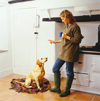 Stockbyte/Stockbyte/Getty Images Taking charge can prevent a dog from becoming dominant.