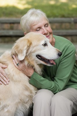 Image Source/Photodisc/Getty Images A special diet is important for dogs with advanced liver disease.