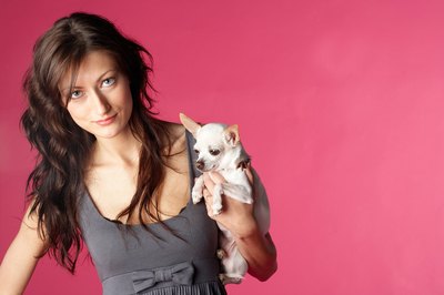 Jupiterimages/Photos.com/Getty Images Teacups look like puppies, even as adults.
