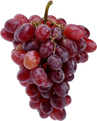 Zedcor Wholly Owned/PhotoObjects.net/Getty Images Dogs and grapes just aren't a safe combo.