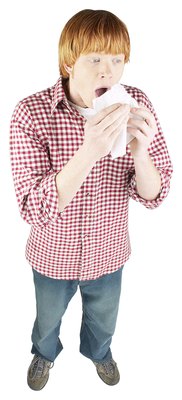 Hemera Technologies/PhotoObjects.net/Getty Images Low-allergen dogs are a good choice for allergy sufferers.