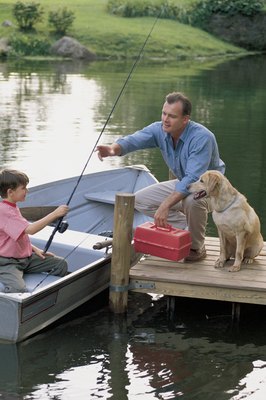 Comstock/Stockbyte/Getty Images Heartworm preventatives keep Rover safe from infected mosquitoes.