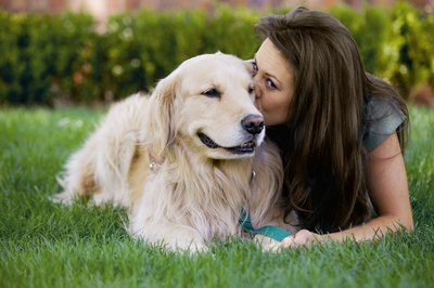 Jupiterimages/liquidlibrary/Getty Images Increasing playtime can help your dog cope with loss.