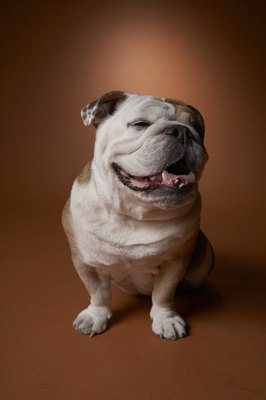 Chris Amaral/Digital Vision/Getty Images "Intense physical activity just isn't my thing."