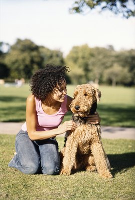 Digital Vision./Digital Vision/Getty Images Airedales won't make you reach for the tissues.