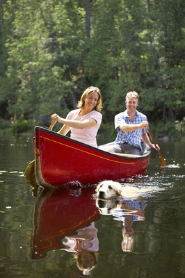 Jupiterimages/Photos.com/Getty Images Canine life preservers provide additional safety for swimming.