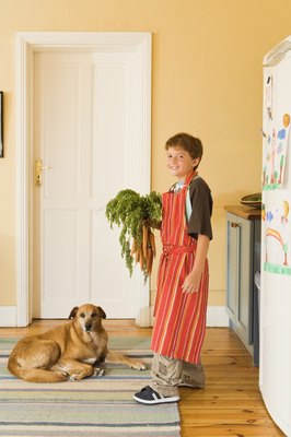 Jupiterimages/Pixland/Getty Images Fresh veggies and legumes in your dog's diet are a healthy alternative to commercial dog food.