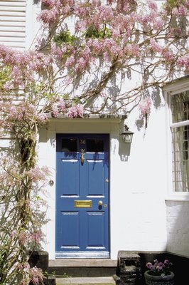 Medioimages/Photodisc/Photodisc/Getty Images Wisteria's pink, purple or white blooms produce highly toxic seeds.