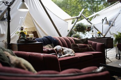 Ryan McVay/Photodisc/Getty Images This lazy pup may not need "Barking at the Moon" food.