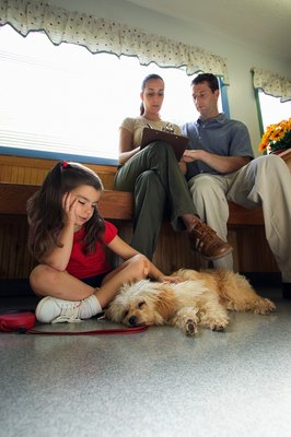 Thinkstock/Stockbyte/Getty Images If your dog requires pain medication, take him to the vet rather than giving him a product designed for people.