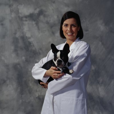 Photodisc/Photodisc/Getty Images Have your vet check out any growths on your best buddy.