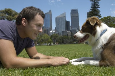 Kane Skennar/Digital Vision/Getty Images Your dog brings in most parasites during his outdoor adventures.