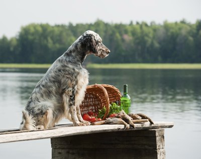 glenkar/iStock/Getty Images "How about fish instead of fowl tonight?"