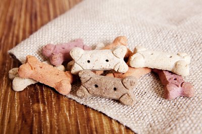 gsk2013/iStock/Getty Images Use a bag of kibble to train him to be the champion of his puppy class.