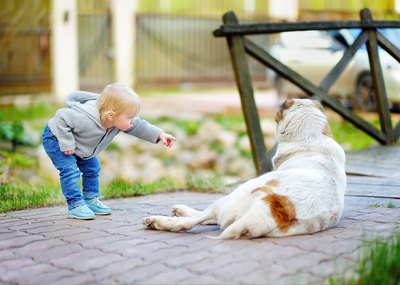 SbytovaMN/iStock/Getty Images The best dogs for kids have to put up with a lot -- and love it.