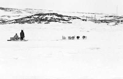 Hemera Technologies/AbleStock.com/Getty Images Sled dogs often wear boots as they run to protect their feet from friction and cold.