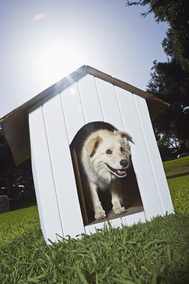 Brand X Pictures/Brand X Pictures/Getty Images Provide Fido with a dog house to keep him cool when outdoors.