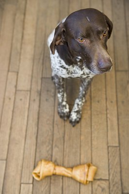 Image Source/Photodisc/Getty Images If you want a purebred, get your vet to recommend a reputable breeder.