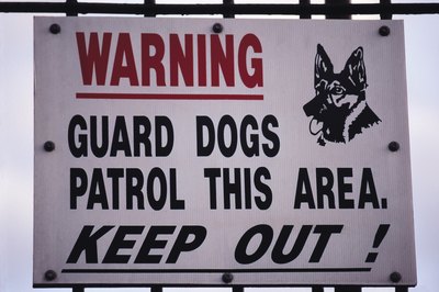 John Foxx/Stockbyte/Getty Images Donovan pinschers make excellent guard dogs.