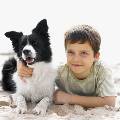 Stockbyte/Stockbyte/Getty Images With patience and vigilance on your part, dogs and children can bond.