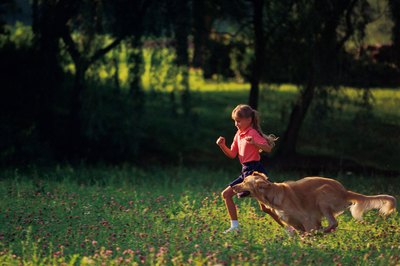 Comstock/Comstock/Getty Images Intense physical activity can lead to a ruptured anterior cruciate ligament.