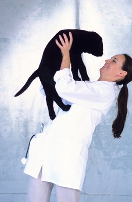 Goodshoot/Goodshoot/Getty Images Take your puppy to the vet if you notice any kind of bite.