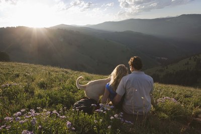 Jupiterimages/Comstock/Getty Images A carrier tick needs to be attached to you or your pup for at least 50 hours to transmit Lyme disease.
