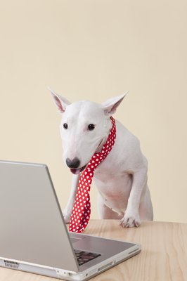 byryo/iStock/Getty Images "It says here the minis aren't that different from us big guys."