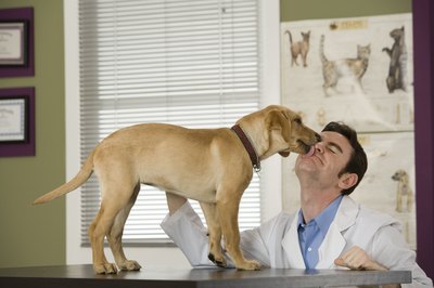 Comstock Images/Comstock/Getty Images "Thanks for keeping me healthy, doc!"