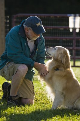 Apple Tree House/Photodisc/Getty Images Older dogs are prone to developing lipomas as they age.
