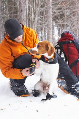 Jupiterimages/Photos.com/Getty Images You can make a dog collar to match your outfit, like these orange items.