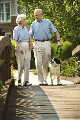 Jupiterimages/Comstock/Getty Images The right breed for a senior citizen depends on their lifestyle.