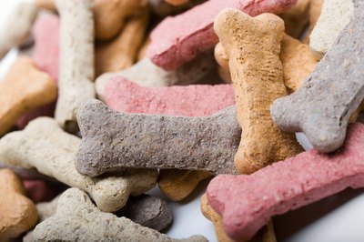 Jupiterimages/liquidlibrary/Getty Images All dogs love treats.